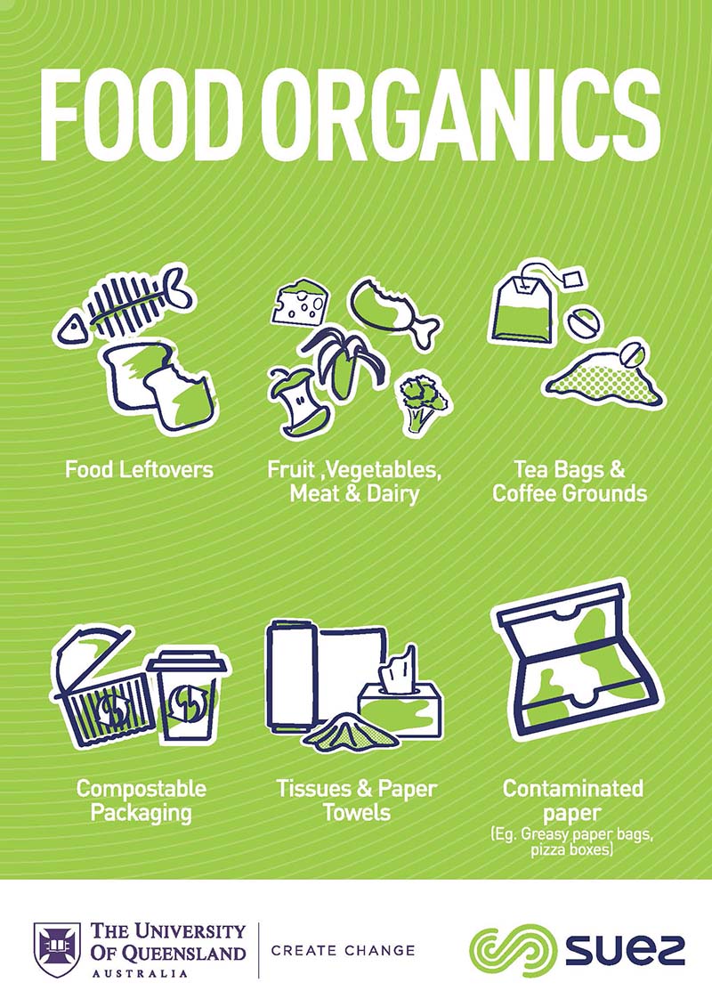 Green sign depicting the types of waste that can go in the organics bin, including food scraps, tea bags and compostable packing.
